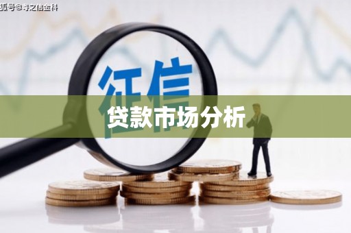 达孜贷款市场分析