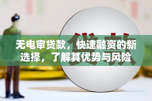 达孜无电审贷款，快速融资的新选择，了解其优势与风险