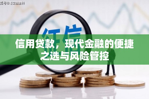 达孜信用贷款，现代金融的便捷之选与风险管控