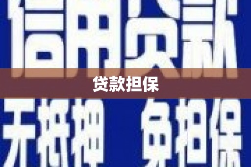 达孜贷款担保