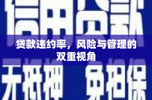 达孜贷款违约率，风险与管理的双重视角