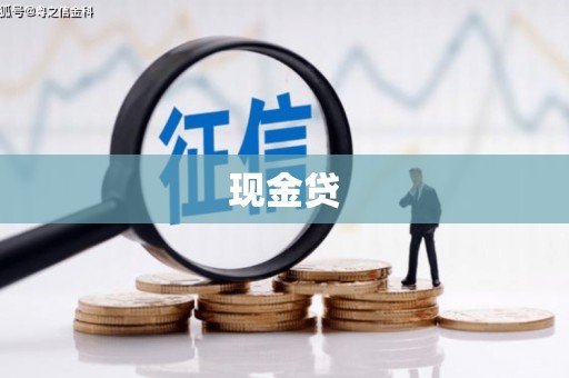 达孜现金贷