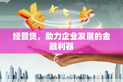 达孜经营贷，助力企业发展的金融利器