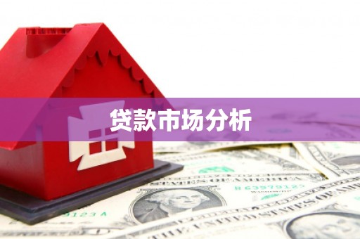 达孜贷款市场分析