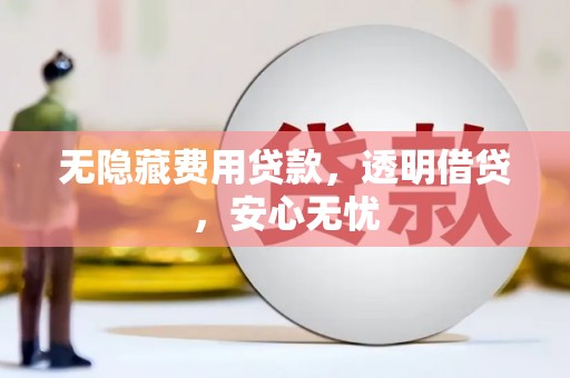 达孜无隐藏费用贷款，透明借贷，安心无忧