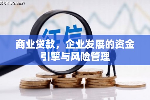 达孜商业贷款，企业发展的资金引擎与风险管理