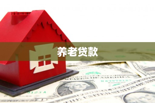 达孜养老贷款