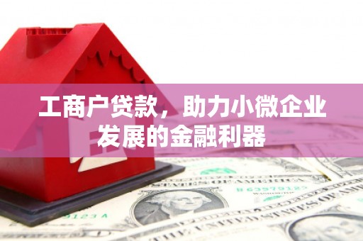 达孜工商户贷款，助力小微企业发展的金融利器