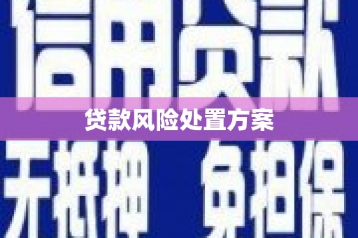 达孜贷款风险处置方案