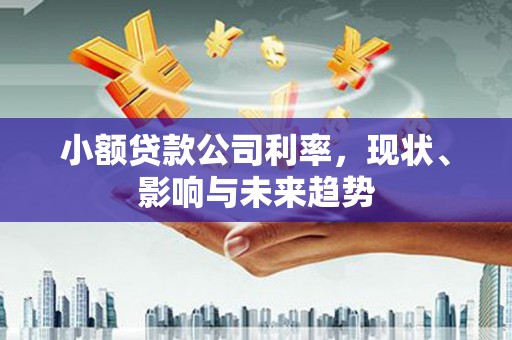 达孜小额贷款公司利率，现状、影响与未来趋势