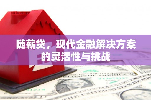 达孜随薪贷，现代金融解决方案的灵活性与挑战