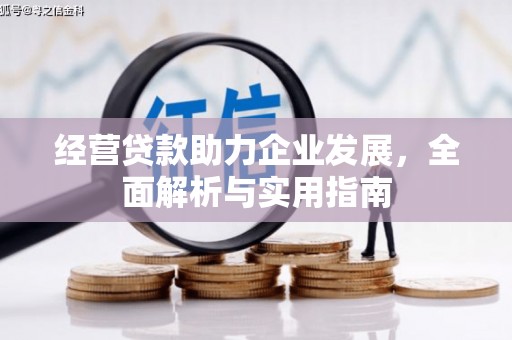 达孜经营贷款助力企业发展，全面解析与实用指南