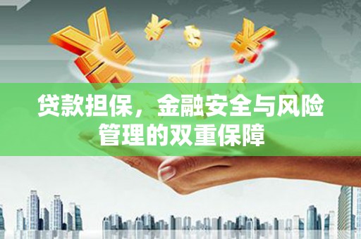 达孜贷款担保，金融安全与风险管理的双重保障