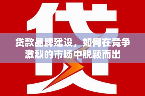 达孜贷款品牌建设，如何在竞争激烈的市场中脱颖而出