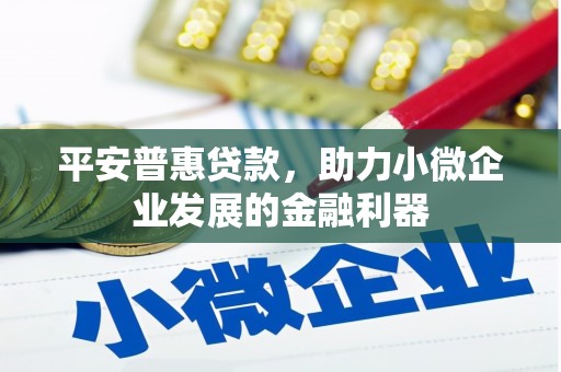 达孜平安普惠贷款，助力小微企业发展的金融利器