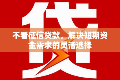 达孜不看征信贷款，解决短期资金需求的灵活选择