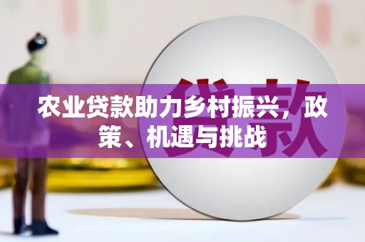 达孜农业贷款助力乡村振兴，政策、机遇与挑战