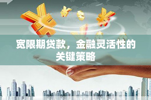 达孜宽限期贷款，金融灵活性的关键策略