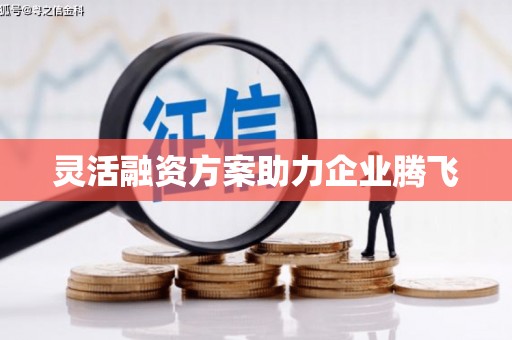 达孜灵活融资方案助力企业腾飞