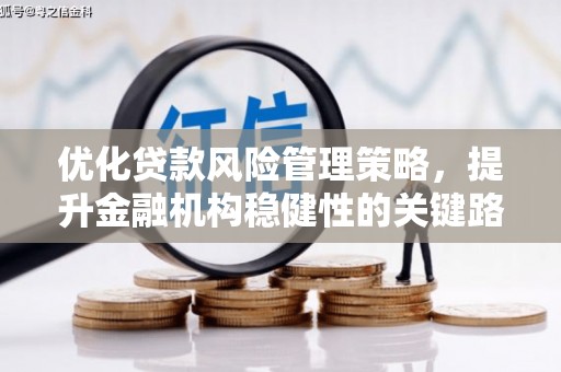 达孜优化贷款风险管理策略，提升金融机构稳健性的关键路径
