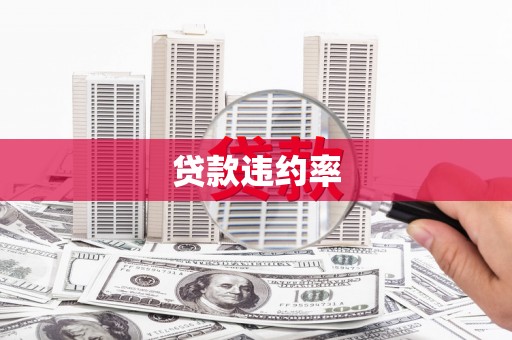 达孜贷款违约率