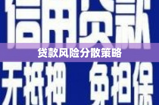 达孜贷款风险分散策略