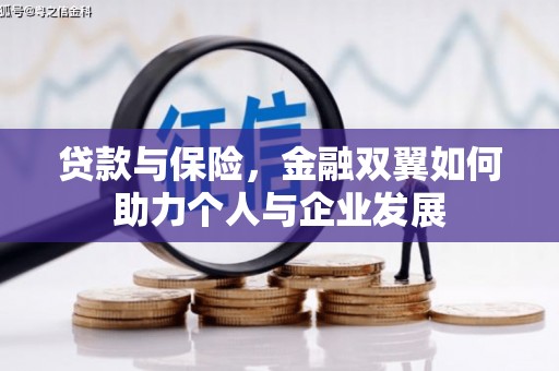 达孜贷款与保险，金融双翼如何助力个人与企业发展