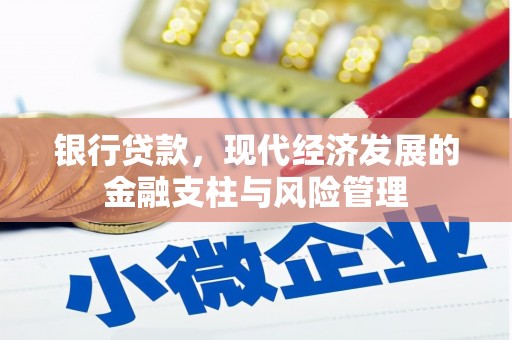 达孜银行贷款，现代经济发展的金融支柱与风险管理