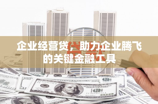 达孜企业经营贷，助力企业腾飞的关键金融工具