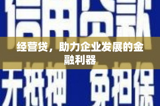 达孜经营贷，助力企业发展的金融利器