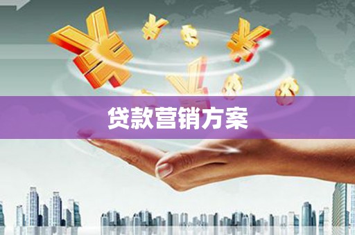达孜贷款营销方案