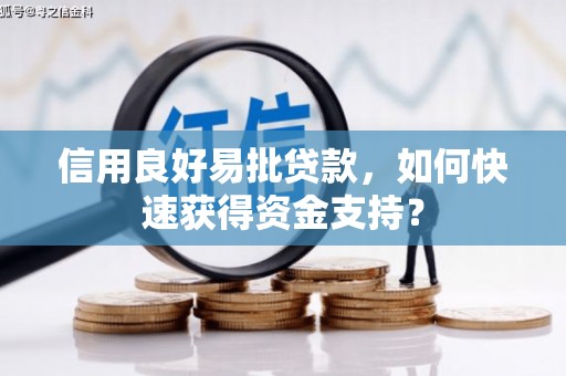 达孜信用良好易批贷款，如何快速获得资金支持？