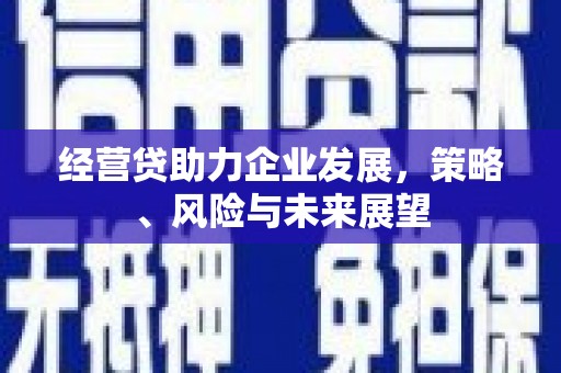 达孜经营贷助力企业发展，策略、风险与未来展望