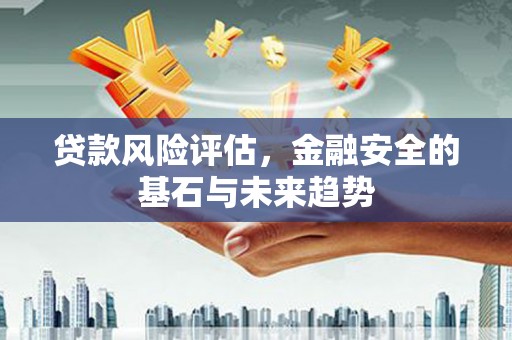达孜贷款风险评估，金融安全的基石与未来趋势