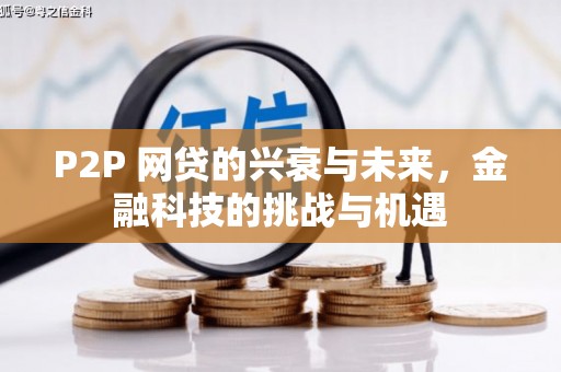 达孜P2P 网贷的兴衰与未来，金融科技的挑战与机遇