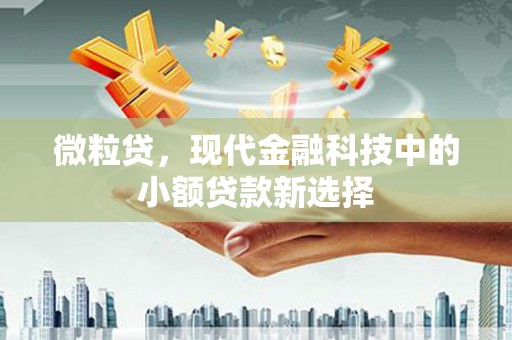 达孜微粒贷，现代金融科技中的小额贷款新选择