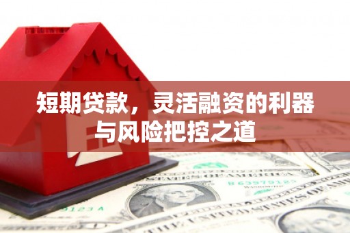 达孜短期贷款，灵活融资的利器与风险把控之道