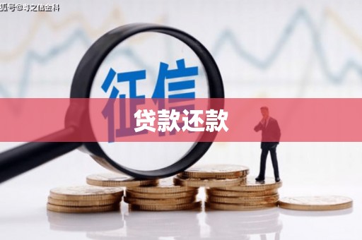 达孜贷款还款