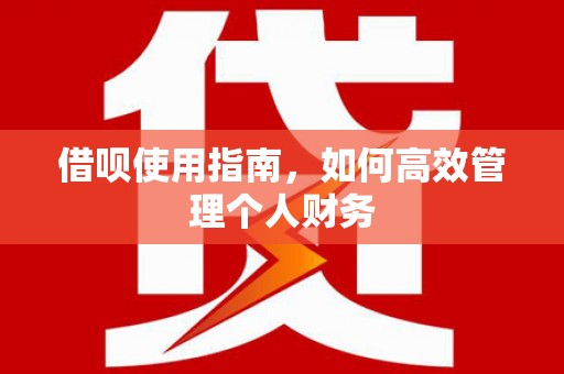 达孜借呗使用指南，如何高效管理个人财务