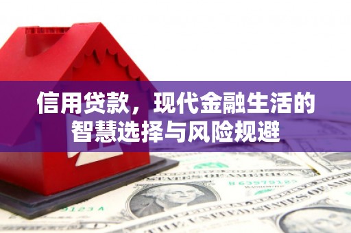 达孜信用贷款，现代金融生活的智慧选择与风险规避