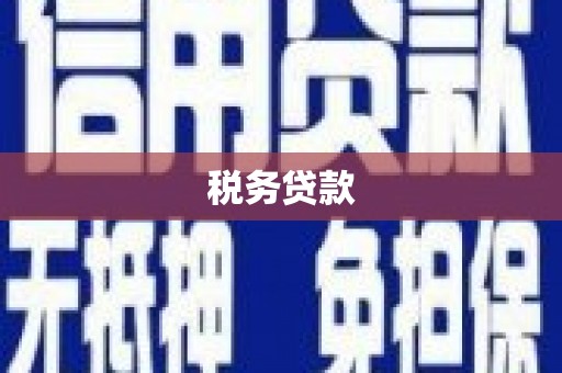 达孜税务贷款