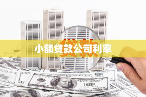 达孜小额贷款公司利率