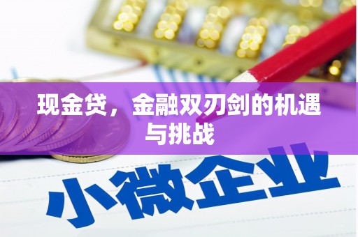 达孜现金贷，金融双刃剑的机遇与挑战