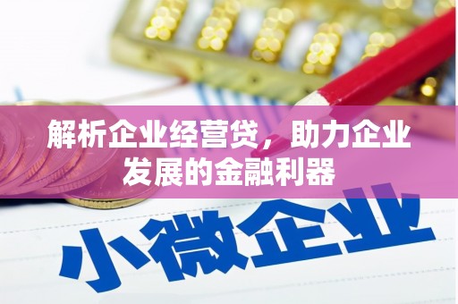 达孜解析企业经营贷，助力企业发展的金融利器