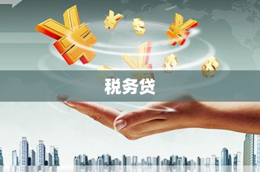 达孜税务贷