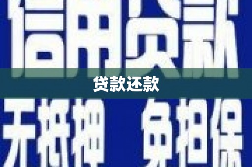 达孜贷款还款
