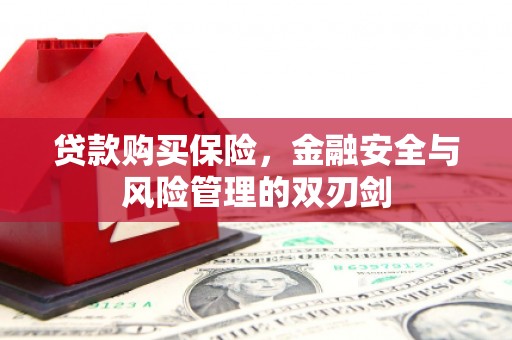 达孜贷款购买保险，金融安全与风险管理的双刃剑