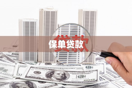 达孜保单贷款