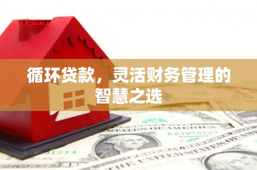 达孜循环贷款，灵活财务管理的智慧之选