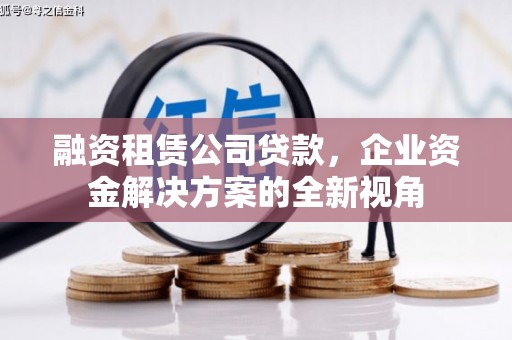 达孜融资租赁公司贷款，企业资金解决方案的全新视角